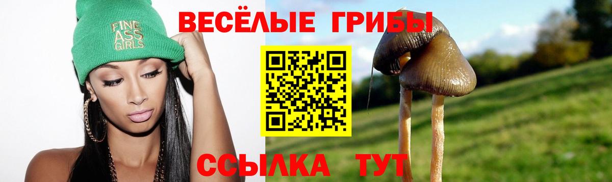 Псилоцибиновые грибы MAGIC MUSHROOMS  Вход с VPN  Грязи 